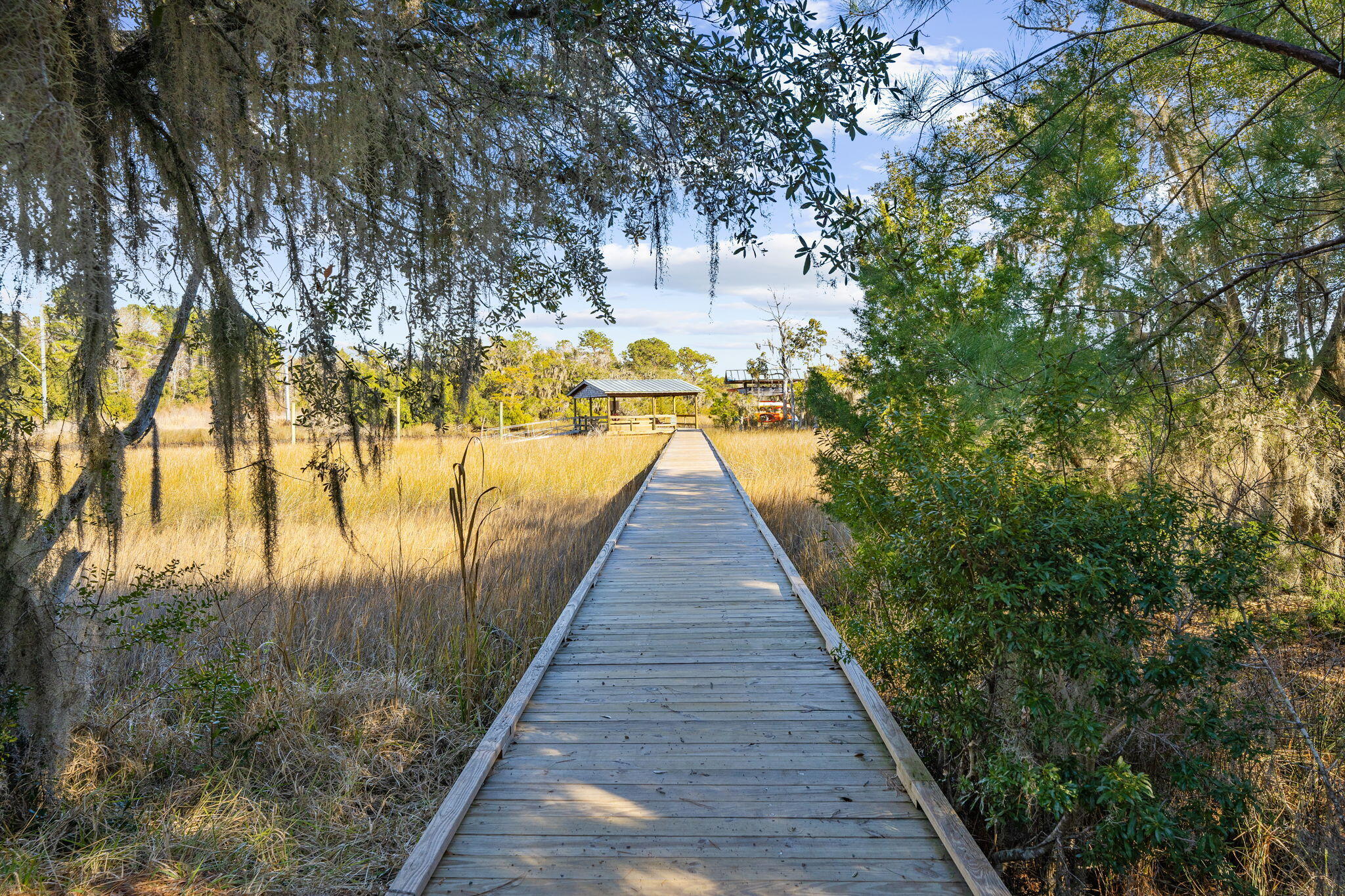 4104 Ten Shillings Way Ravenel, SC 29470 - Photo 56 of 64 Commmunity Amenity
