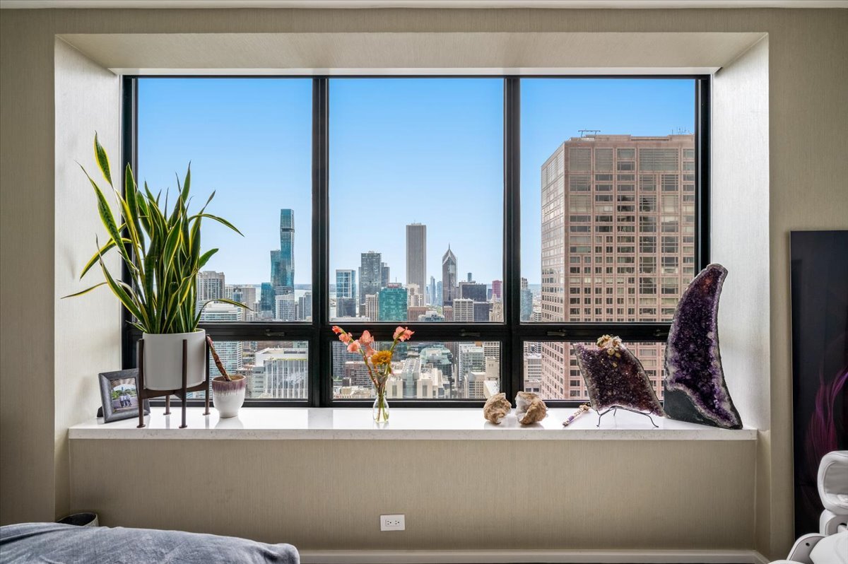 180 East Pearson Street, Unit 5107 Chicago, IL 60611 - Photo 24 of 42 a view of a living room with a floor to ceiling window and potted plant