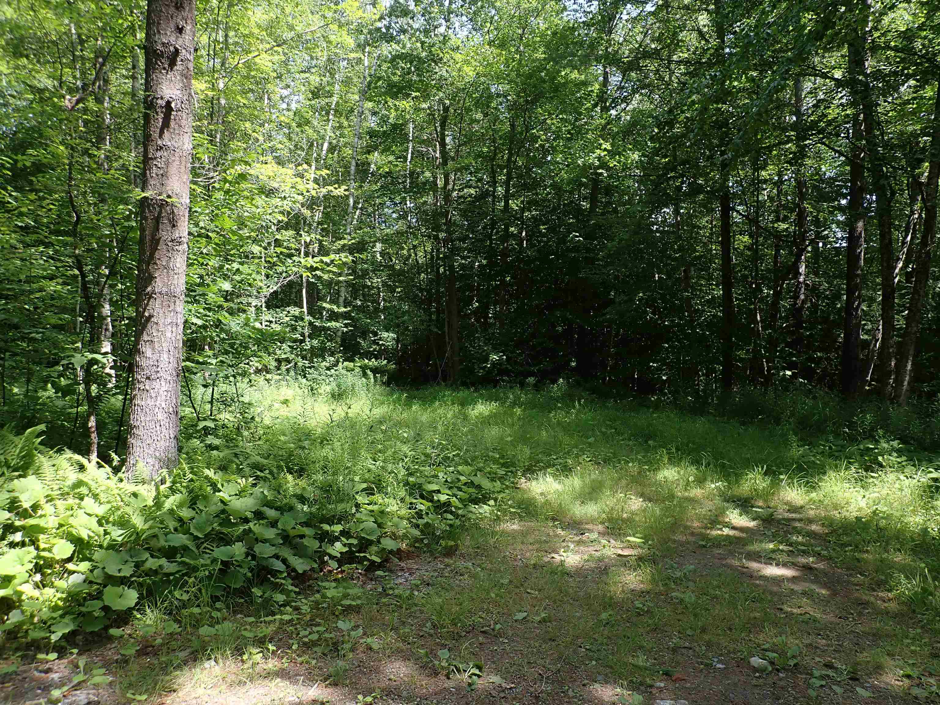 0 Schoolhouse Road Jamaica, VT 05343 - Photo 9 of 20 Gallery Image 9