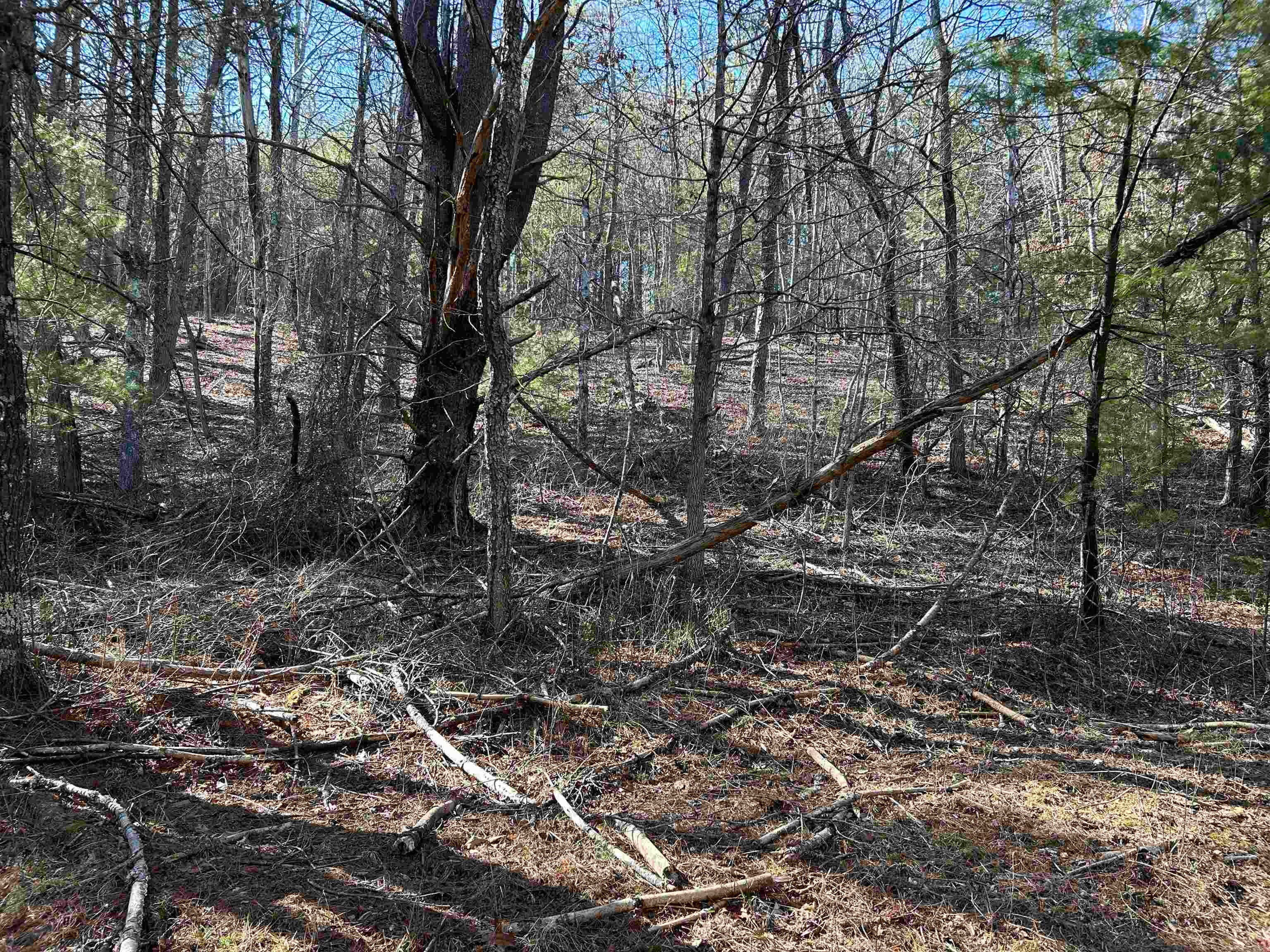 4266 Craig Creek Road Catawba, VA 24070 - Photo 30 of 44 Gallery Image 30