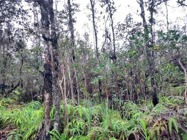 $75,000 | 6487 Plumeria Street, Mountain View, HI 96771