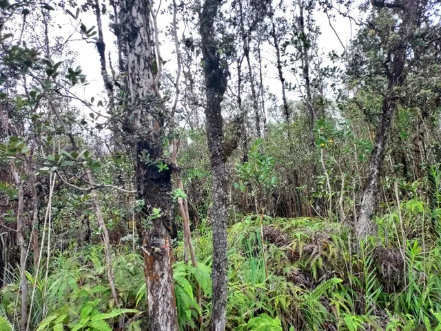 $75,000 | 6487 Plumeria Street, Mountain View, HI 96771