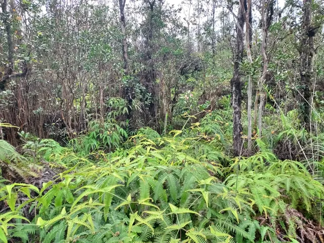 $75,000 | 6487 Plumeria Street, Mountain View, HI 96771