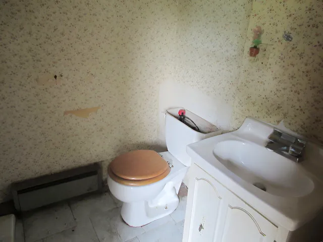a bathroom with a toilet and a sink
