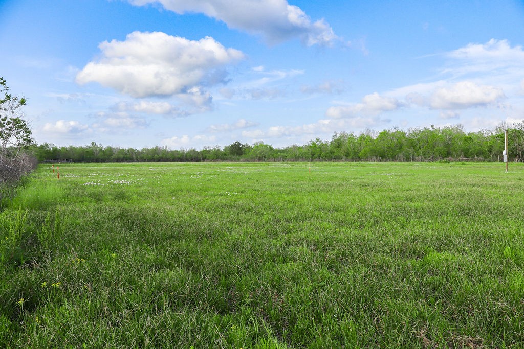 1115 Farm To Market 1462 Rosharon, TX 77583 - Photo 13 of 20