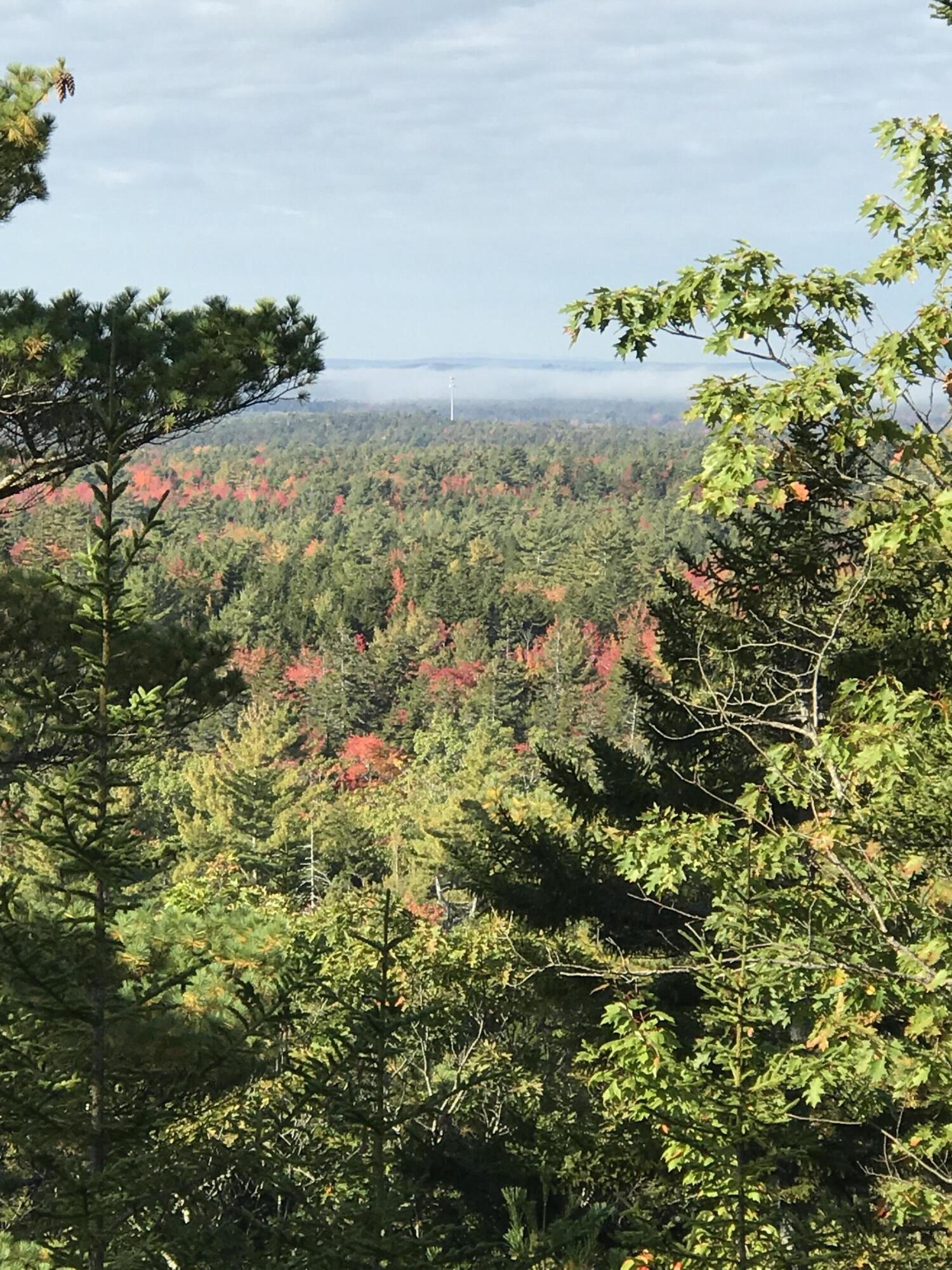 266 Pitman Road Sullivan, ME 04664 - Photo 90 of 121 IMG_1919