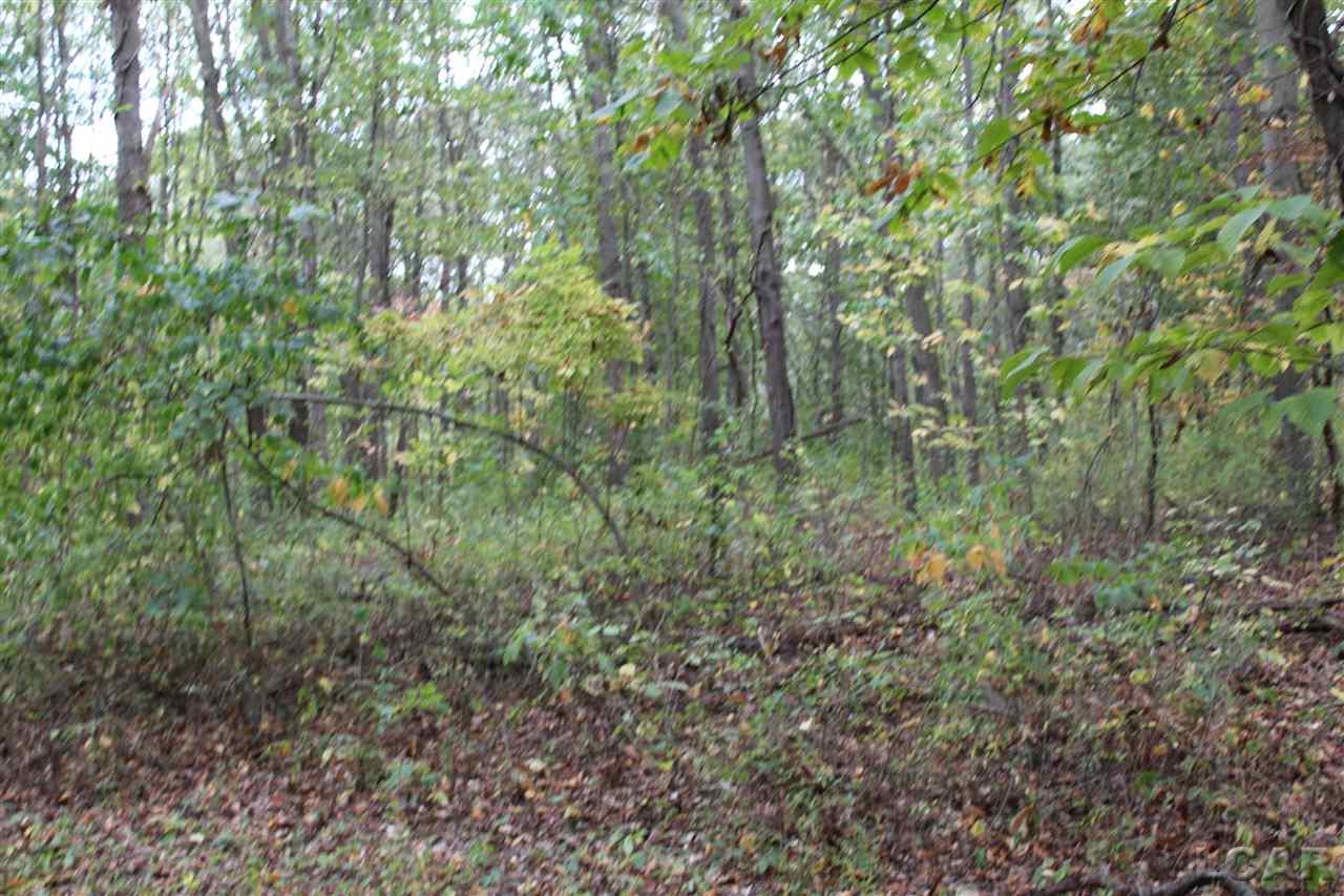 Cross Road Horton, MI 49246 - Photo 1 of 15