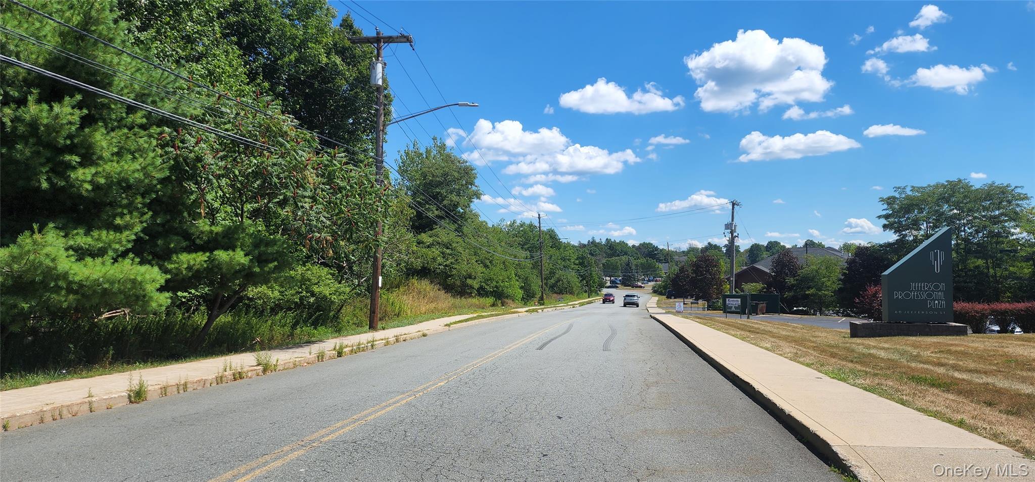 0 Sturgis Road Monticello, NY 12701 - Photo 2 of 8 a view of a swimming pool with a yard
