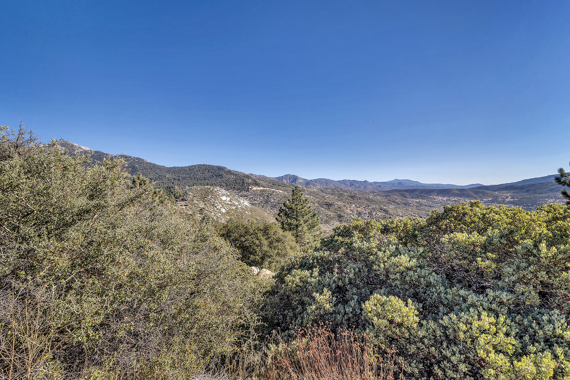 0 Double View Drive Idyllwild, CA 92549 - Photo 12 of 17 11