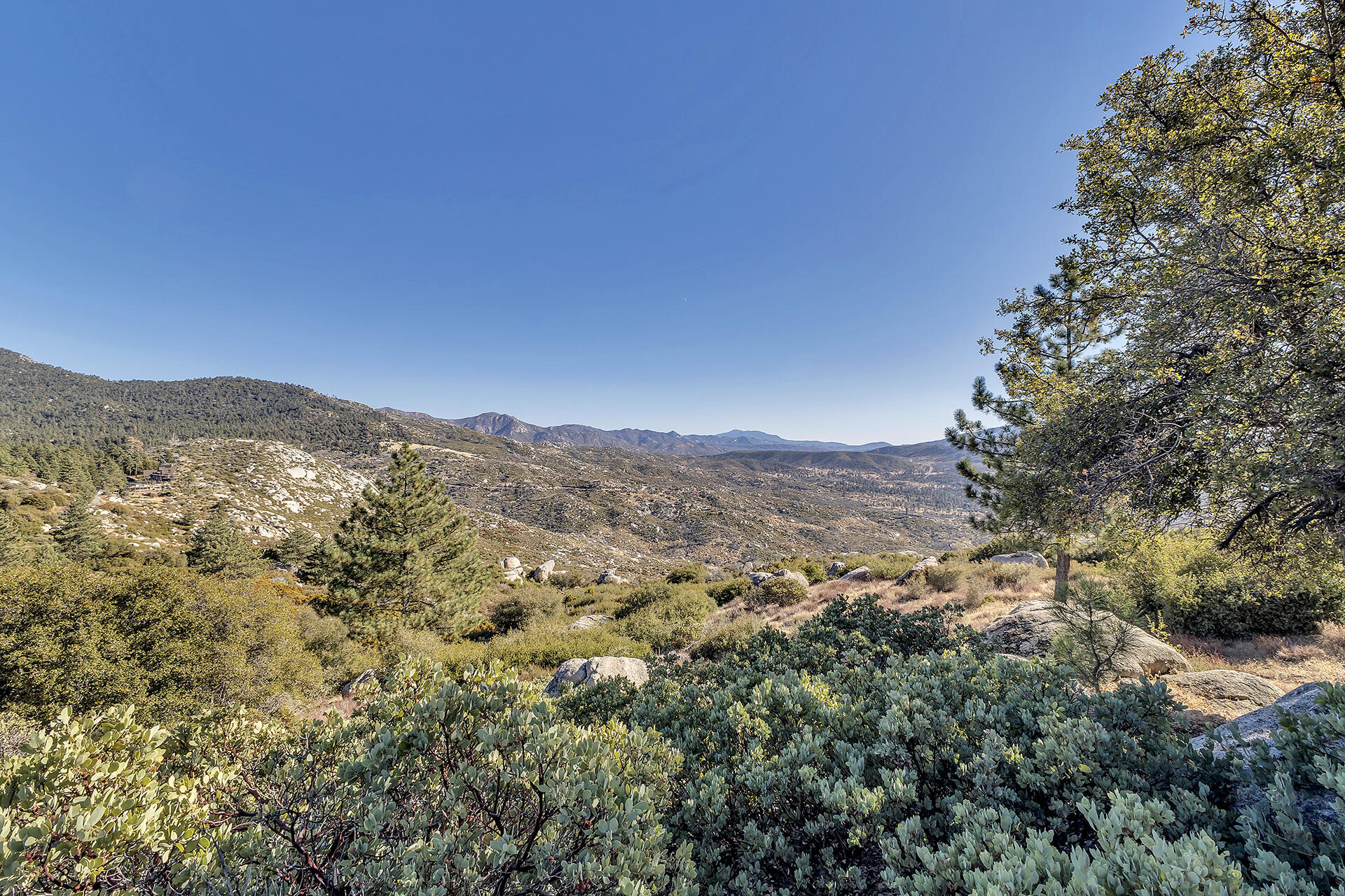 0 Double View Drive Idyllwild, CA 92549 - Photo 13 of 17 12