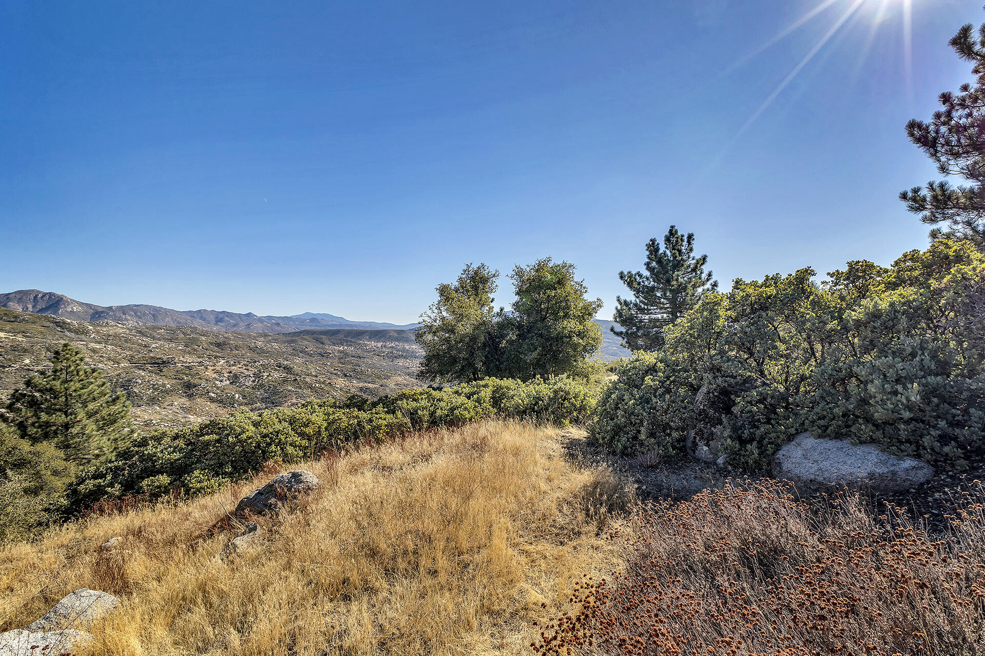0 Double View Drive Idyllwild, CA 92549 - Photo 14 of 17 13