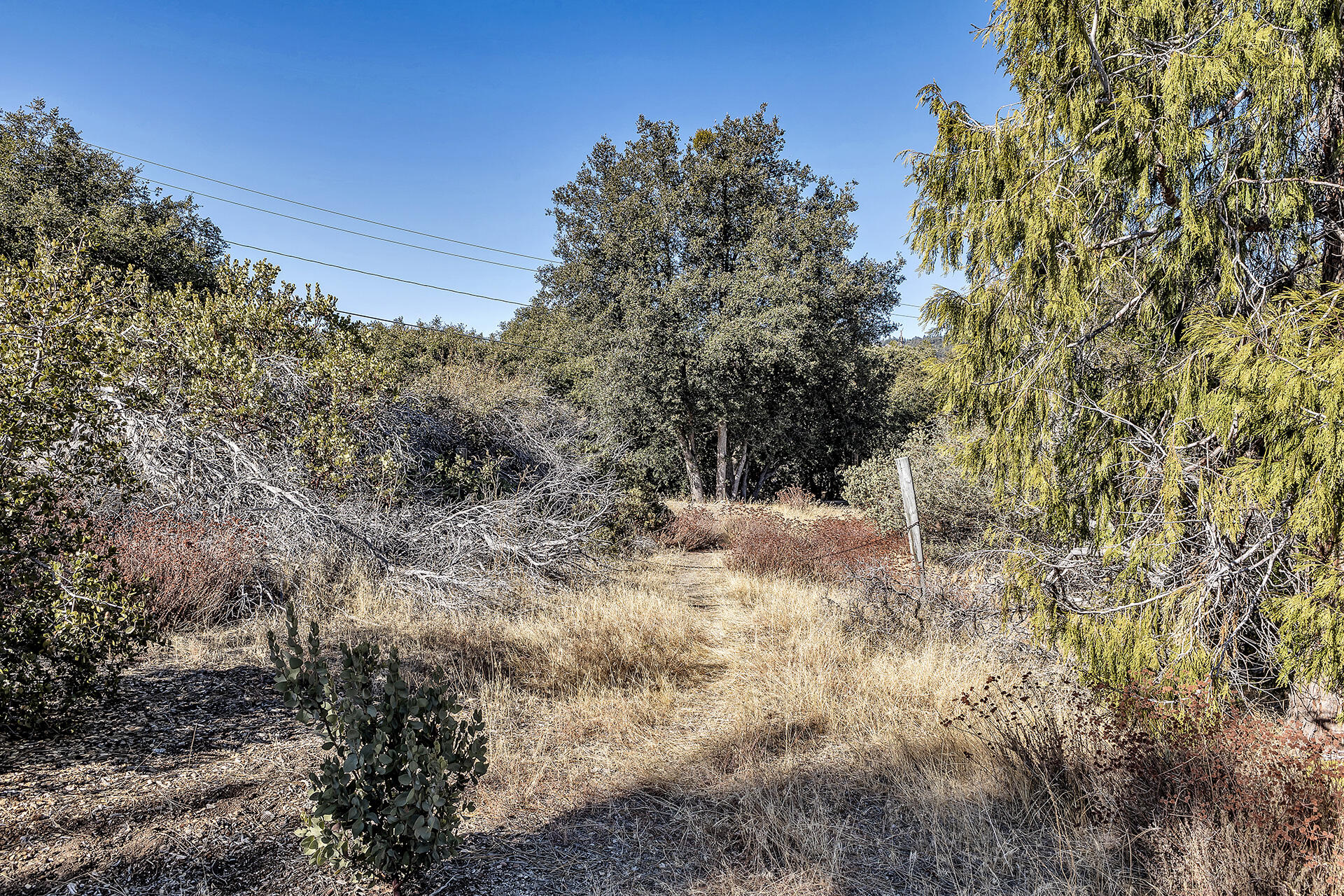 0 Double View Drive Idyllwild, CA 92549 - Photo 15 of 17 14