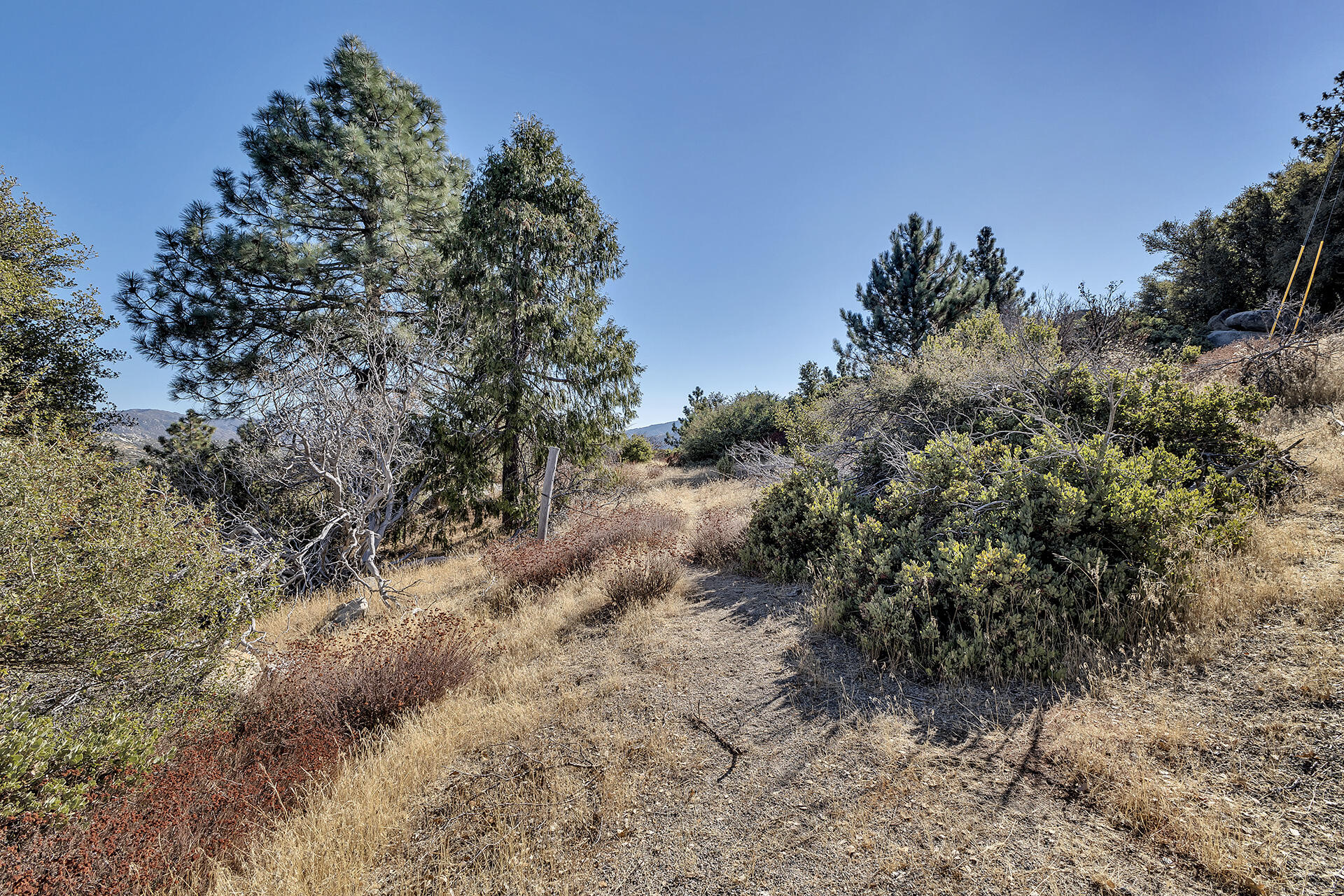 0 Double View Drive Idyllwild, CA 92549 - Photo 8 of 17 7