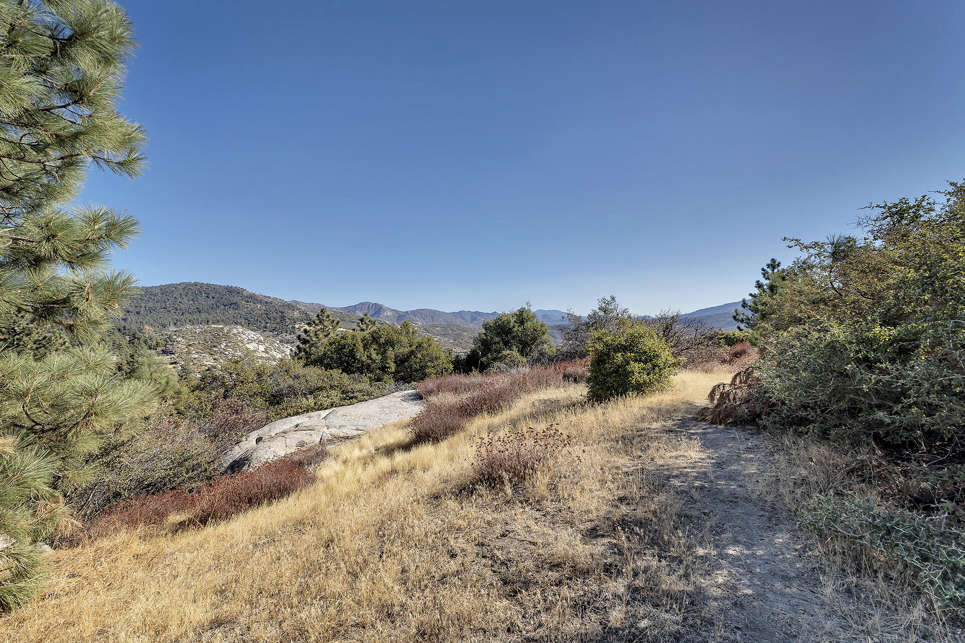0 Double View Drive Idyllwild, CA 92549 - Photo 9 of 17 8