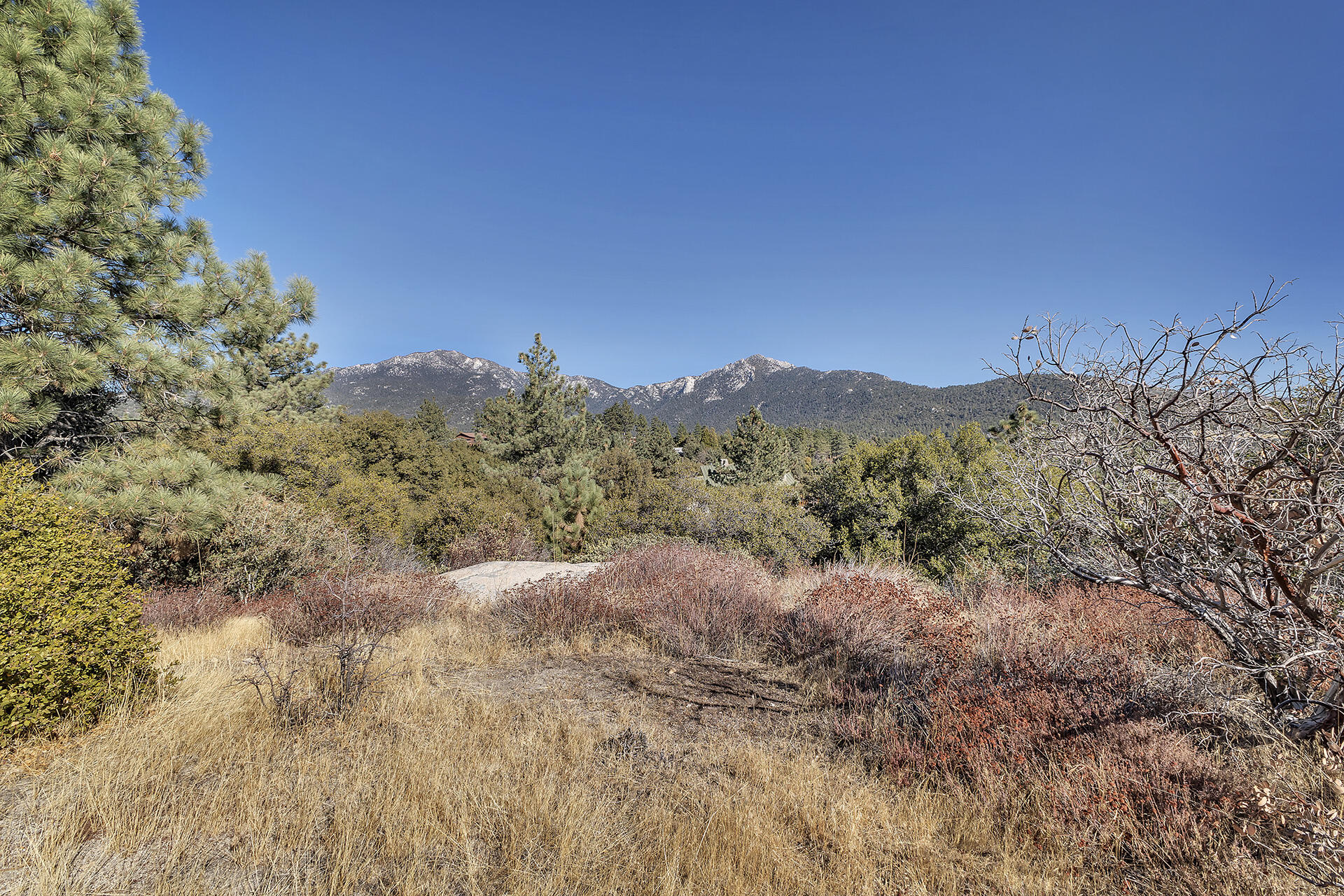 0 Double View Drive Idyllwild, CA 92549 - Photo 10 of 17 9