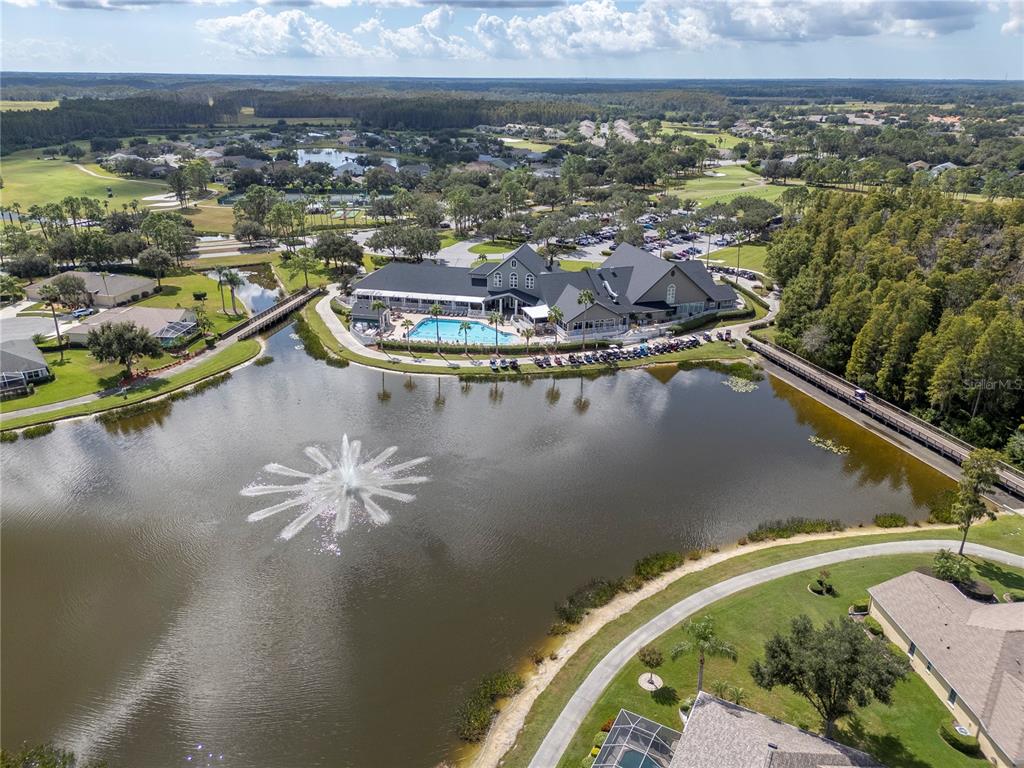 1623 Arbor Knoll Loop Trinity, FL 34655 - Photo 22 of 31