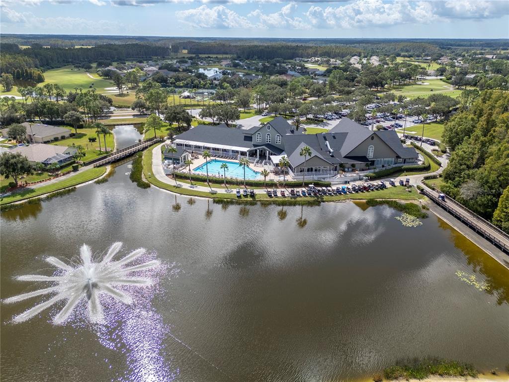 1623 Arbor Knoll Loop Trinity, FL 34655 - Photo 31 of 31