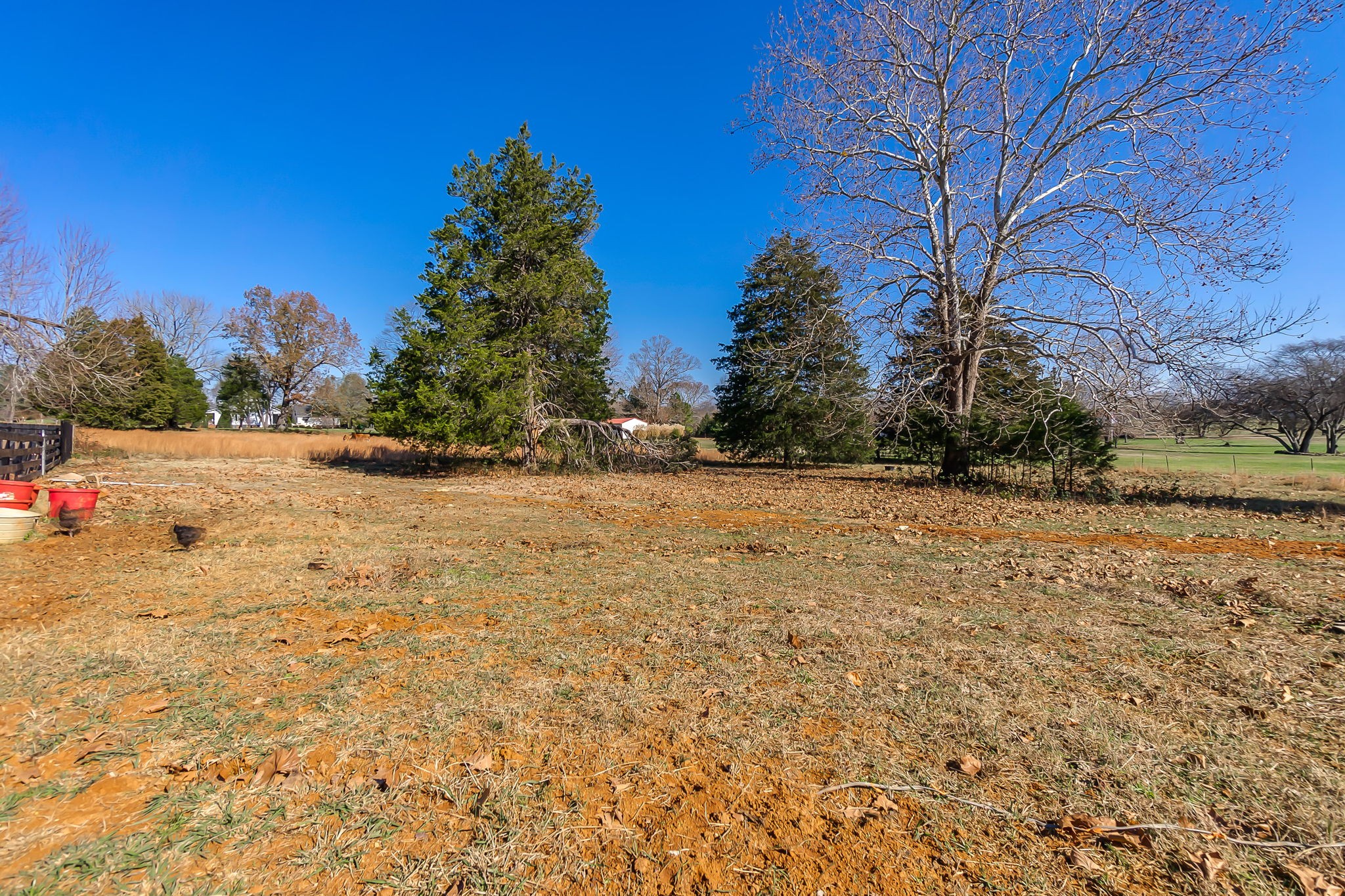 5115 Thick Road Chapel Hill, TN 37034 - Photo 38 of 51 Gallery Image 38