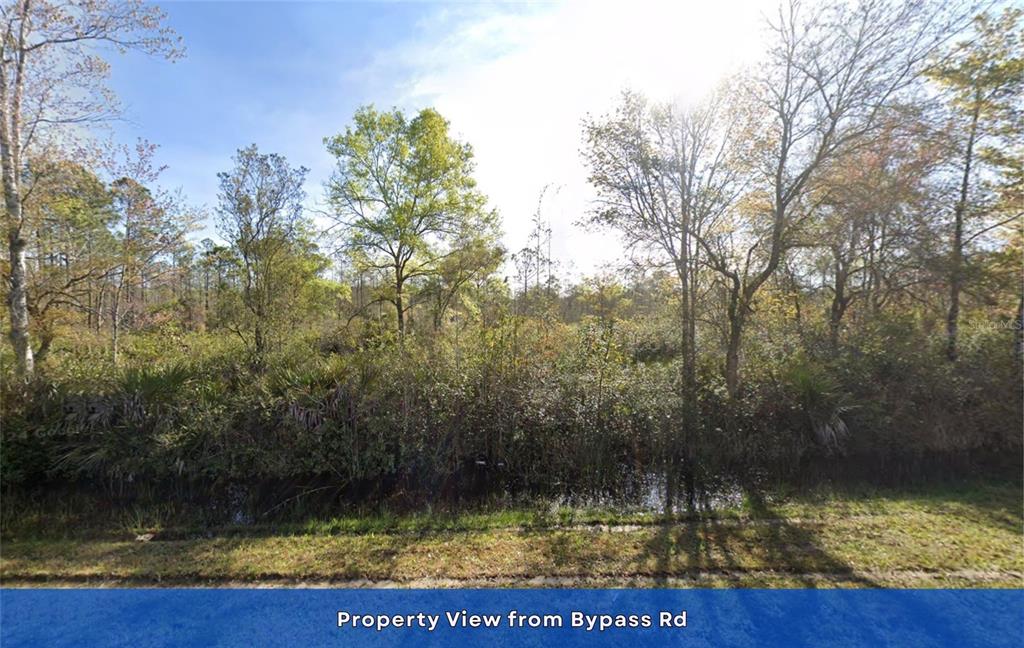 19 Bypass Road Callahan, FL 32011 - Photo 2 of 4
