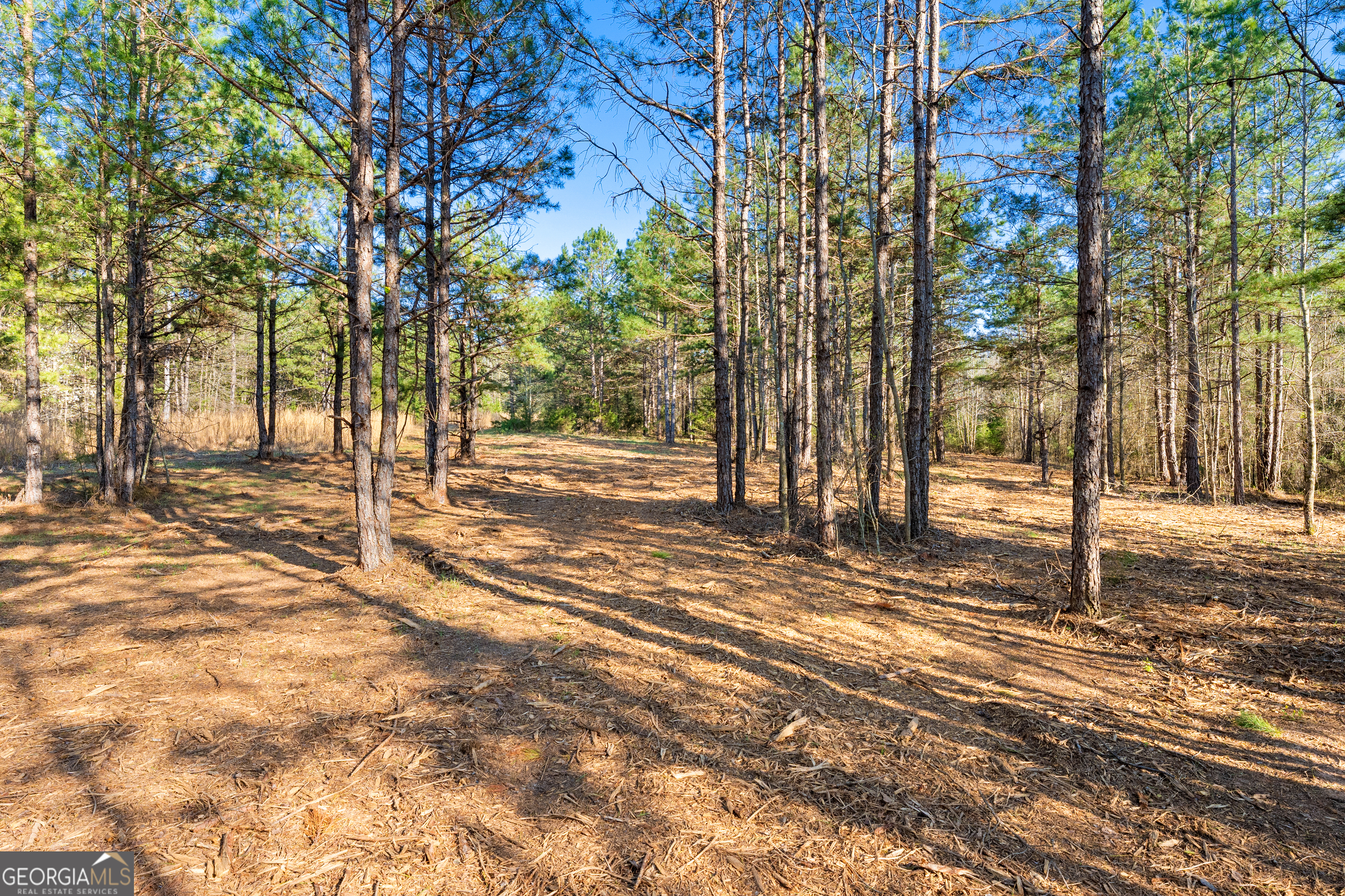 10 Legacy View Hartwell, GA 30643 - Photo 3 of 19 a view of a yard with plants and trees