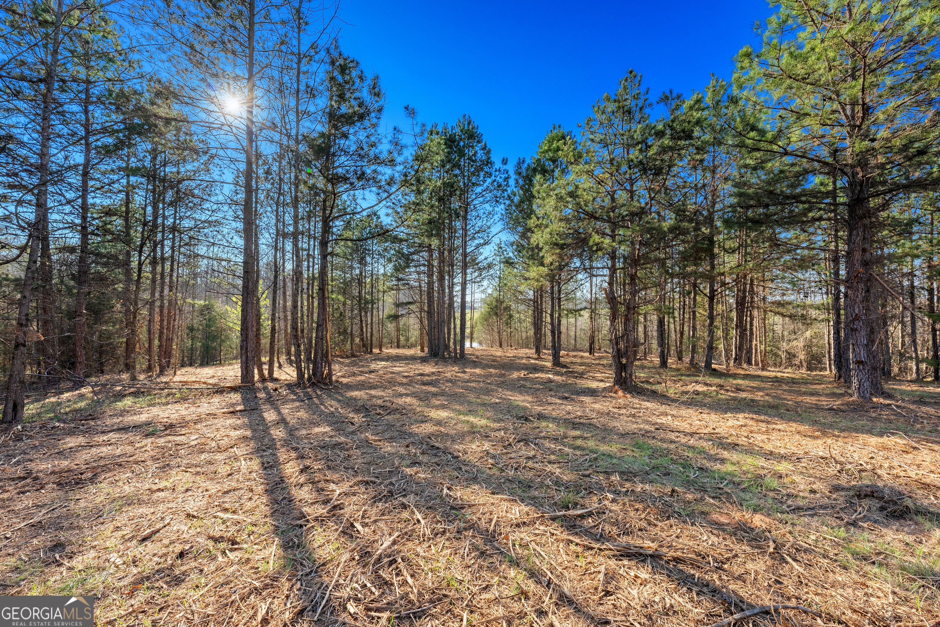 10 Legacy View Hartwell, GA 30643 - Photo 5 of 19 a view of a yard with plants and trees