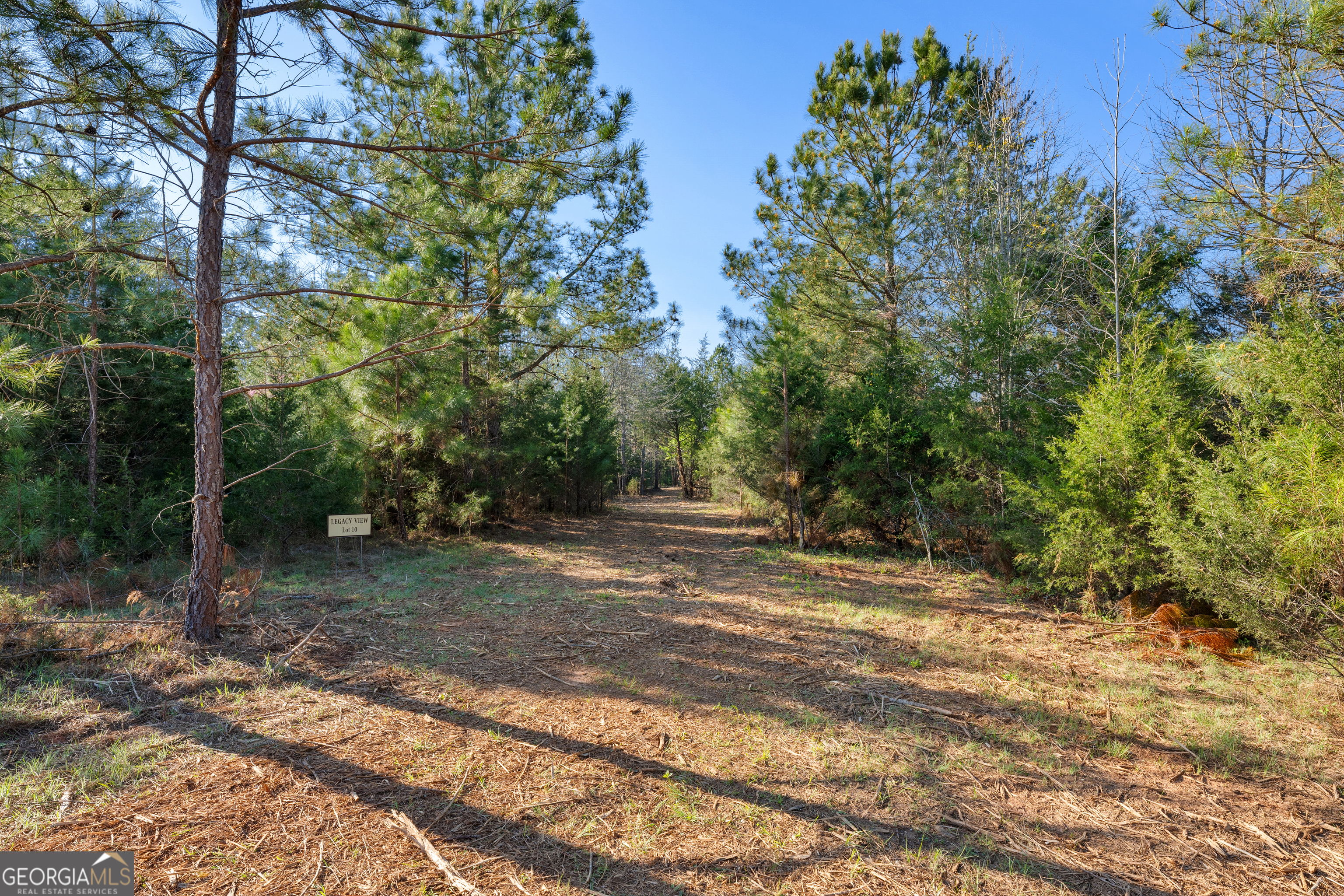 10 Legacy View Hartwell, GA 30643 - Photo 6 of 19 a view of a yard with plants and trees