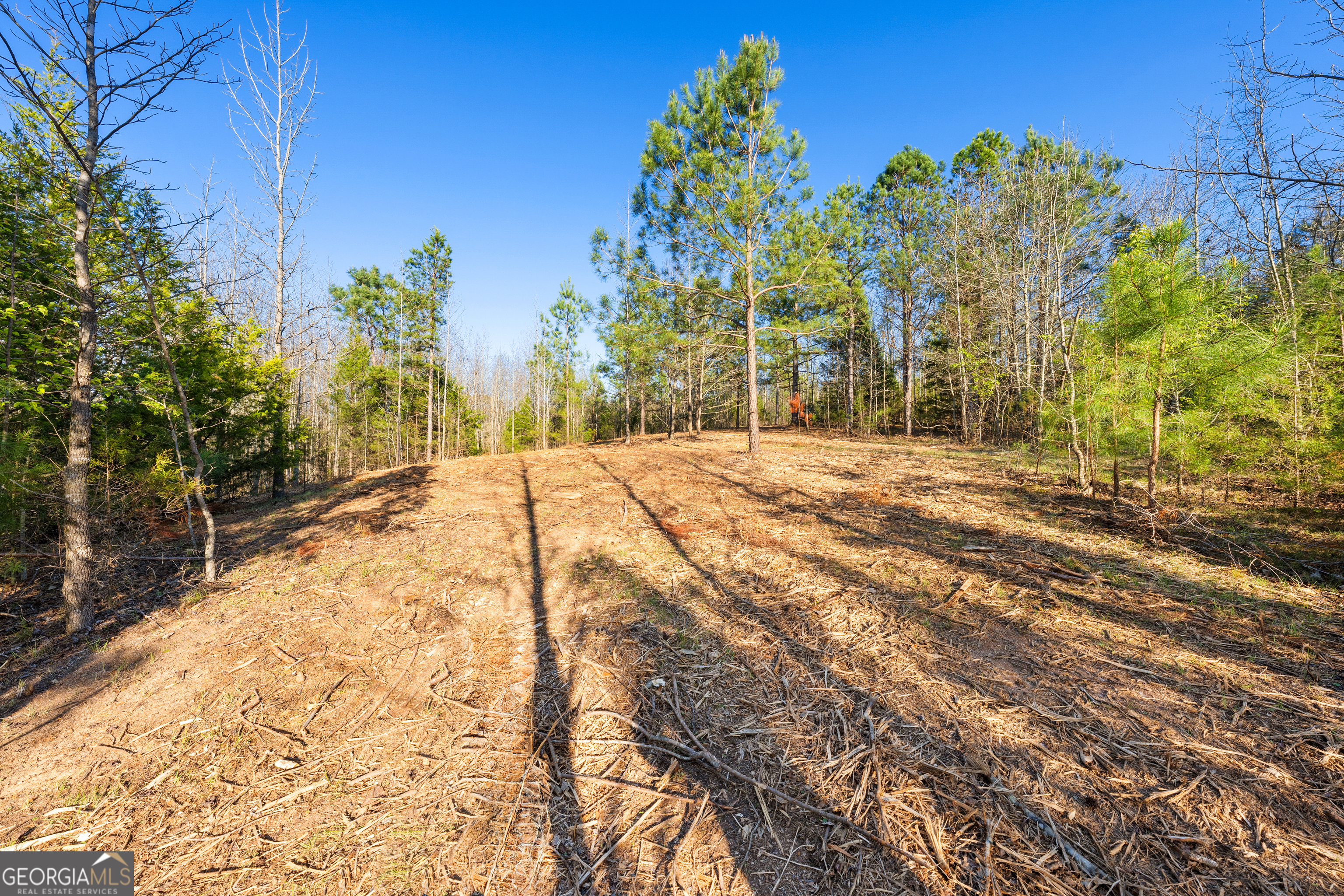 10 Legacy View Hartwell, GA 30643 - Photo 8 of 19 a view of back yard of the house