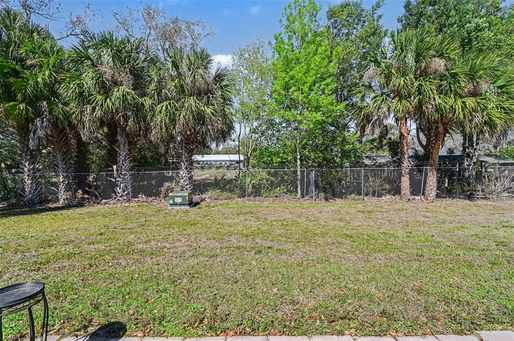 12435 Orangewood Circle Tavares, FL 32778 - Photo 27 of 30 a fire hydrant in the middle of a field