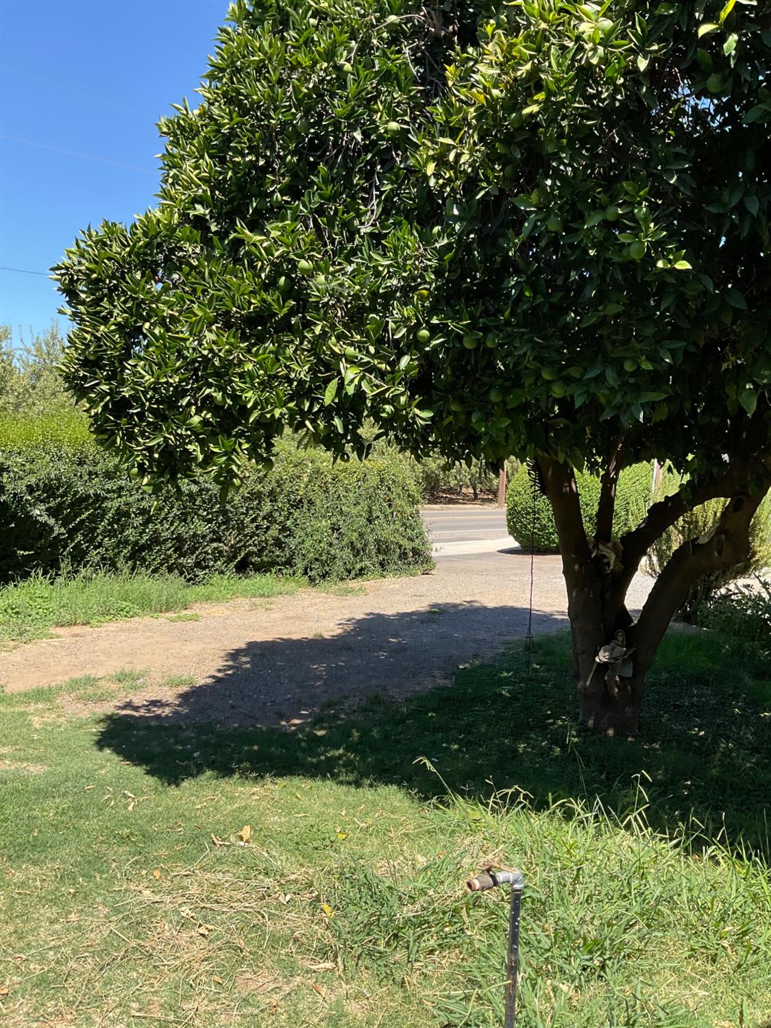 303 Plainsburg Road Planada, CA 95365 - Photo 51 of 74 Gallery Image 51