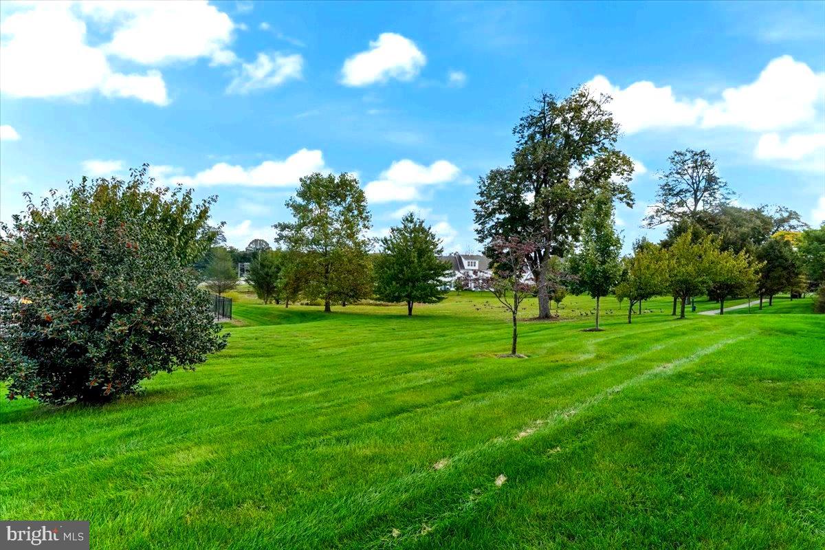 45 Old Cedarbrook Road Wyncote, PA 19095 - Photo 40 of 44