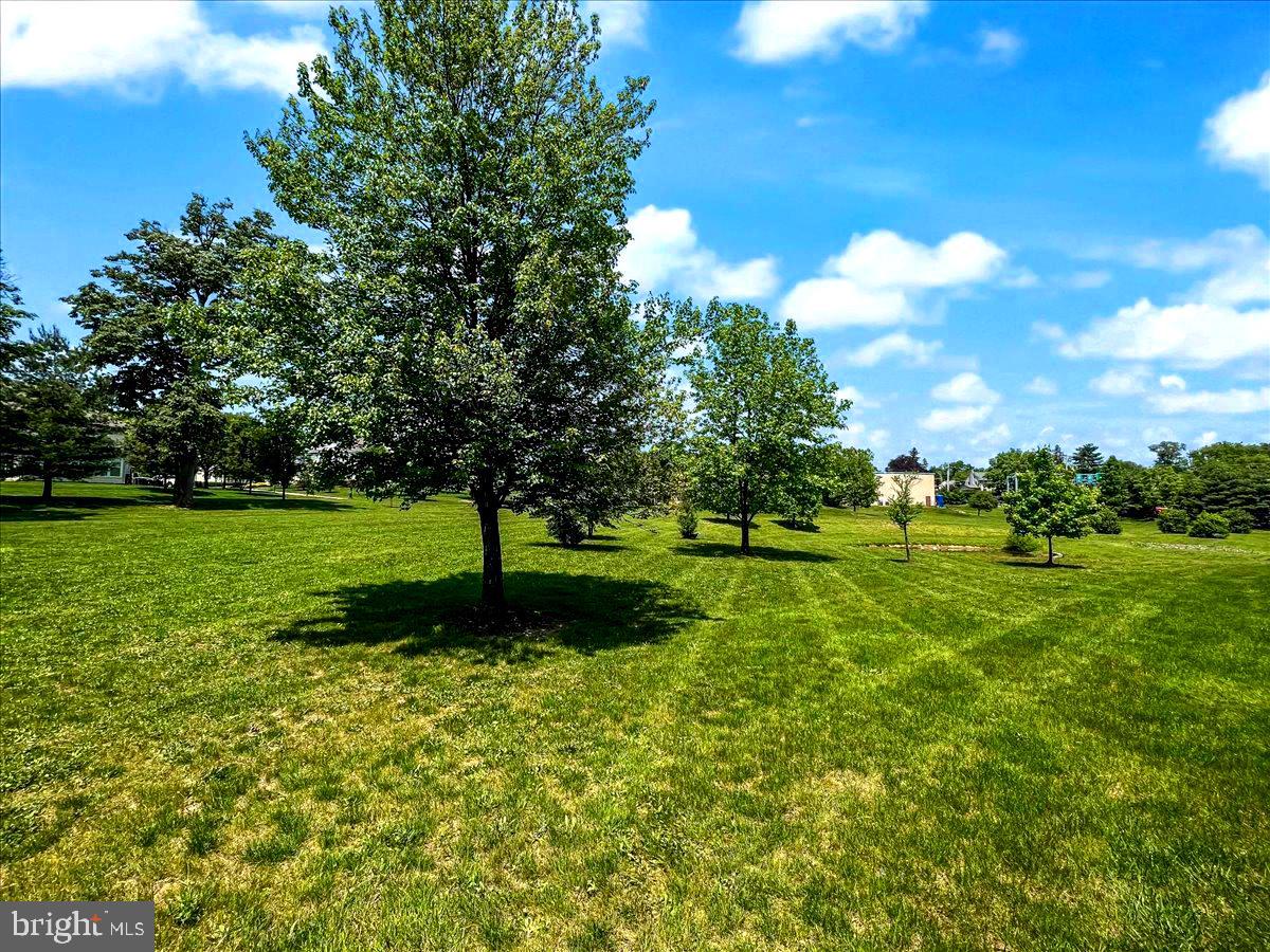 45 Old Cedarbrook Road Wyncote, PA 19095 - Photo 41 of 44