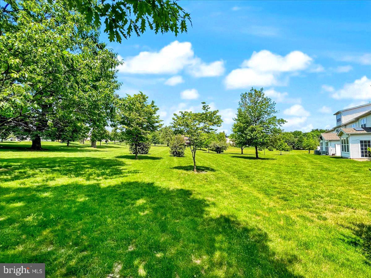 45 Old Cedarbrook Road Wyncote, PA 19095 - Photo 43 of 44