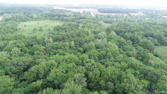 0 Burg Road Fillmore, IL 62032 - Photo 3 of 11 Gallery Image 3