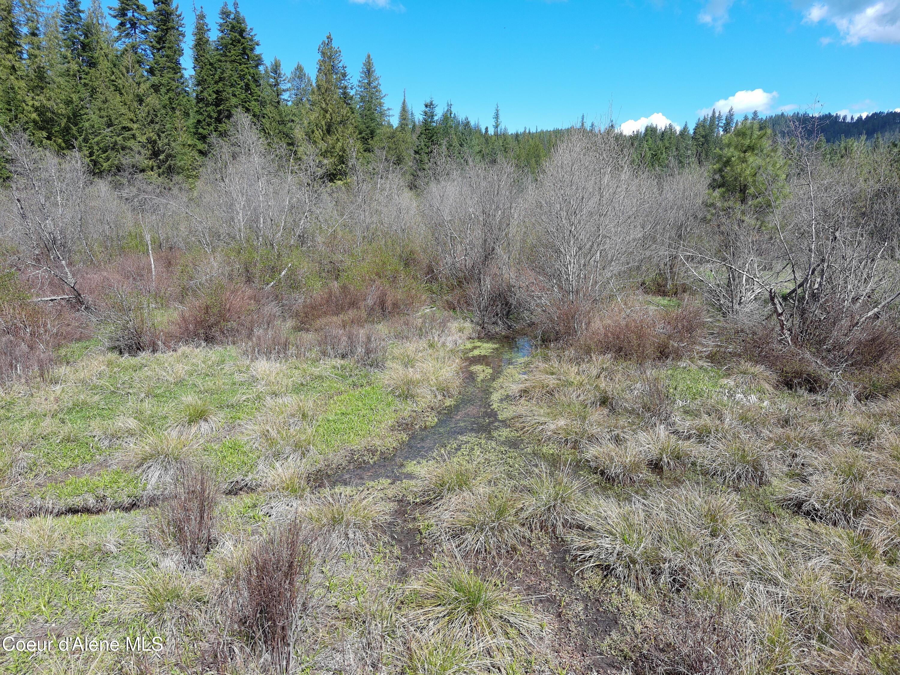Carlin Creek Road, Unit 256 Harrison, ID 83833 - Photo 24 of 31 MAX_0029
