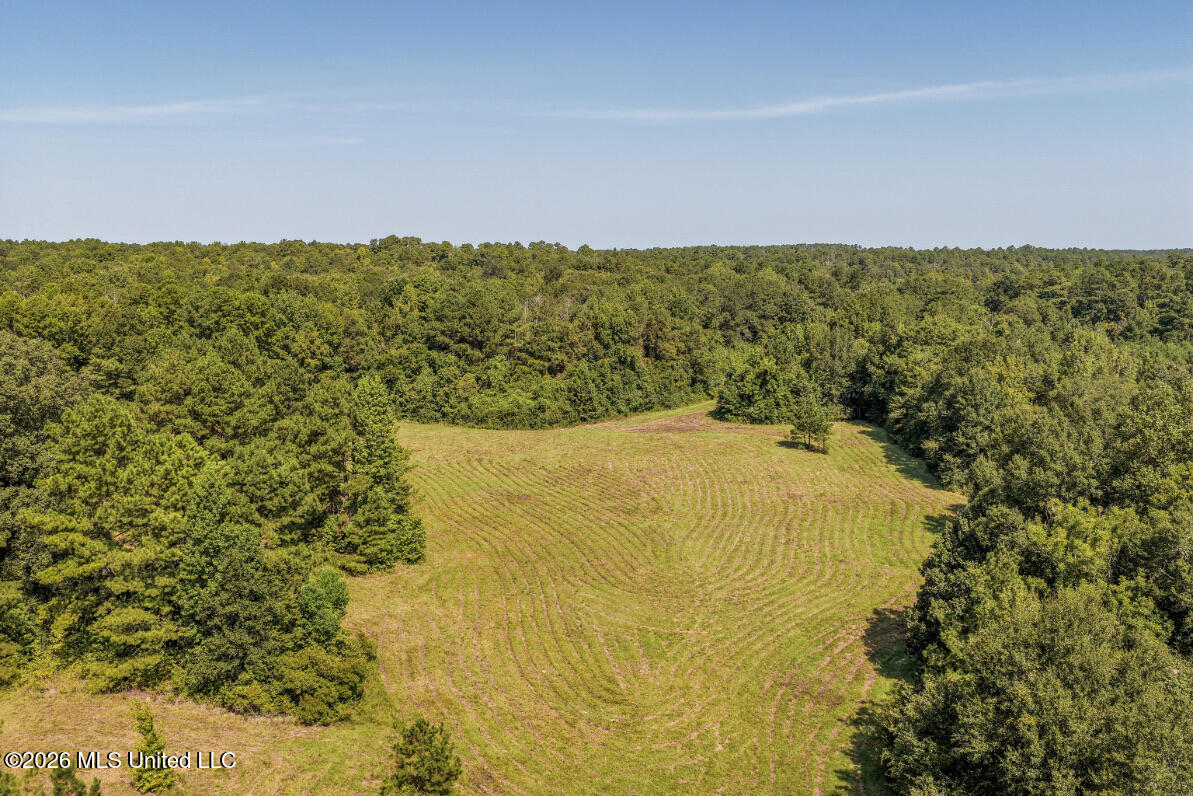 5056 Bethesda Road Crystal Springs, MS 39059 - Photo 9 of 48 DJI_20260818104925_0685_D