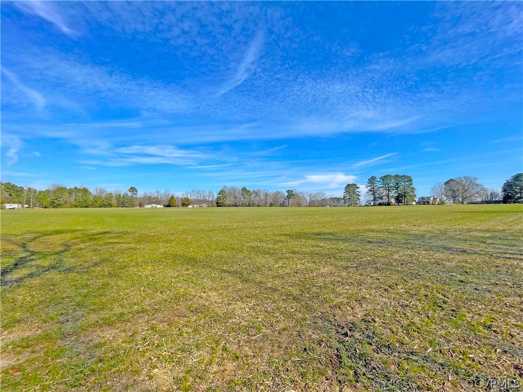 33.7 Acres (off Of) Rolfe Highway Spring Grove, VA 23881 - Photo 11 of 30 Gallery Image 11