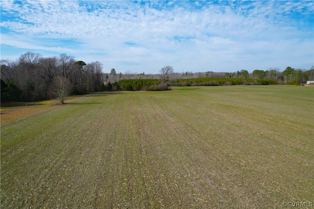 33.7 Acres (off Of) Rolfe Highway Spring Grove, VA 23881 - Photo 12 of 30 Gallery Image 12