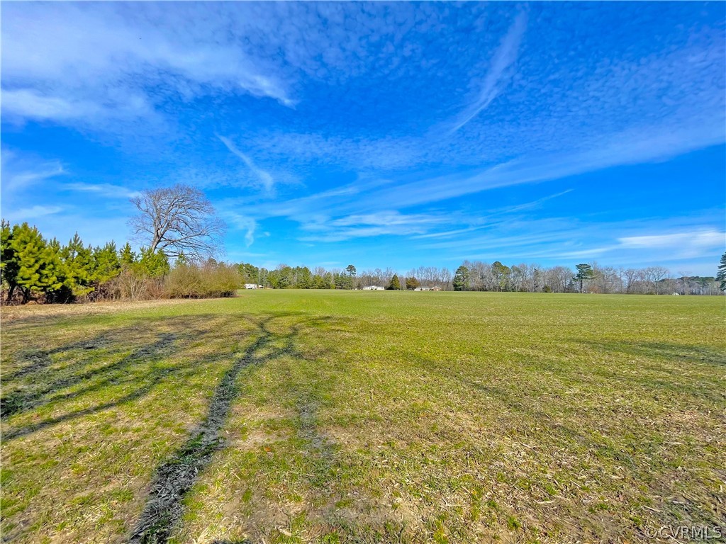 33.7 Acres (off Of) Rolfe Highway Spring Grove, VA 23881 - Photo 13 of 30 Gallery Image 13