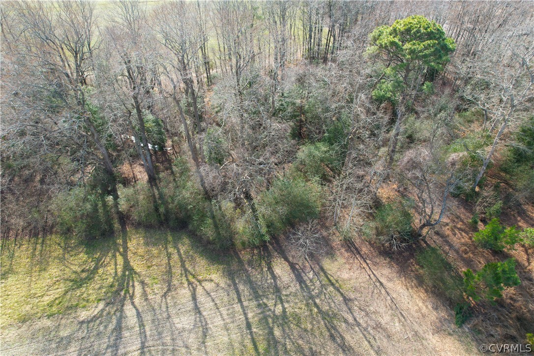 33.7 Acres (off Of) Rolfe Highway Spring Grove, VA 23881 - Photo 14 of 30 Gallery Image 14