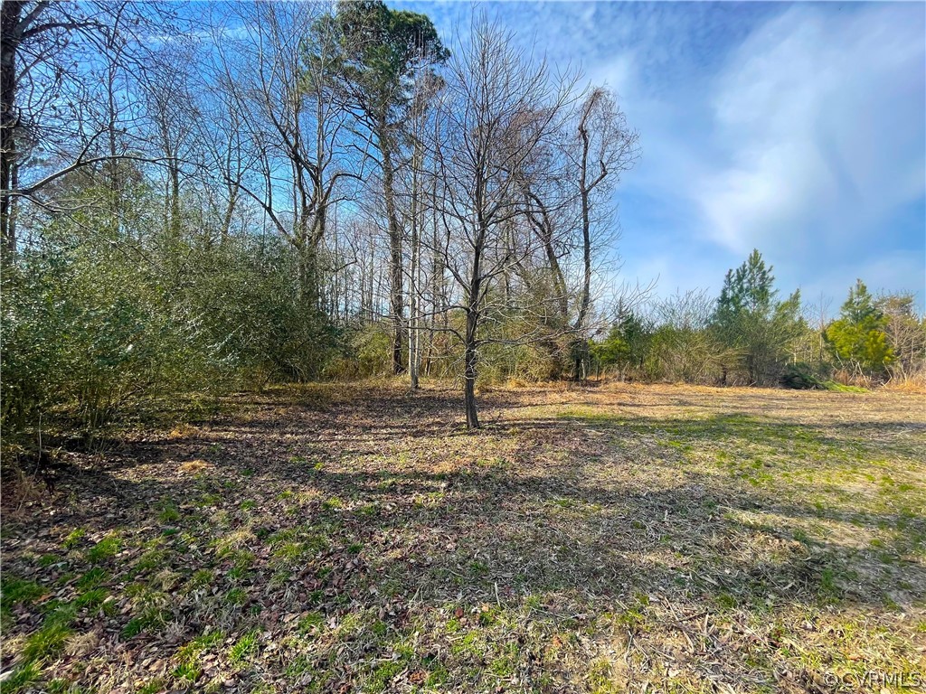 33.7 Acres (off Of) Rolfe Highway Spring Grove, VA 23881 - Photo 15 of 30 Gallery Image 15