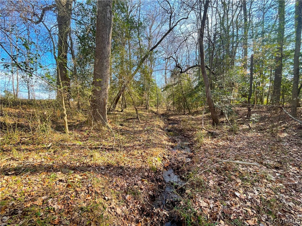 33.7 Acres (off Of) Rolfe Highway Spring Grove, VA 23881 - Photo 16 of 30 Gallery Image 16