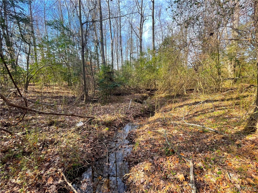 33.7 Acres (off Of) Rolfe Highway Spring Grove, VA 23881 - Photo 17 of 30 Gallery Image 17