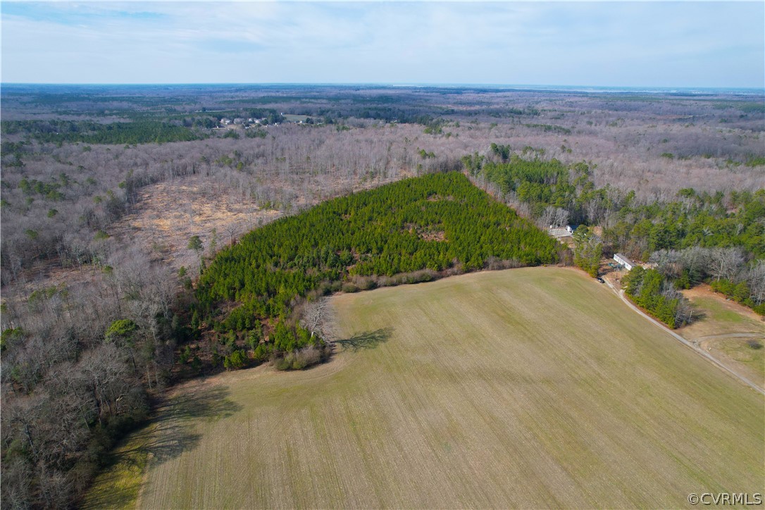 33.7 Acres (off Of) Rolfe Highway Spring Grove, VA 23881 - Photo 18 of 30 Gallery Image 18