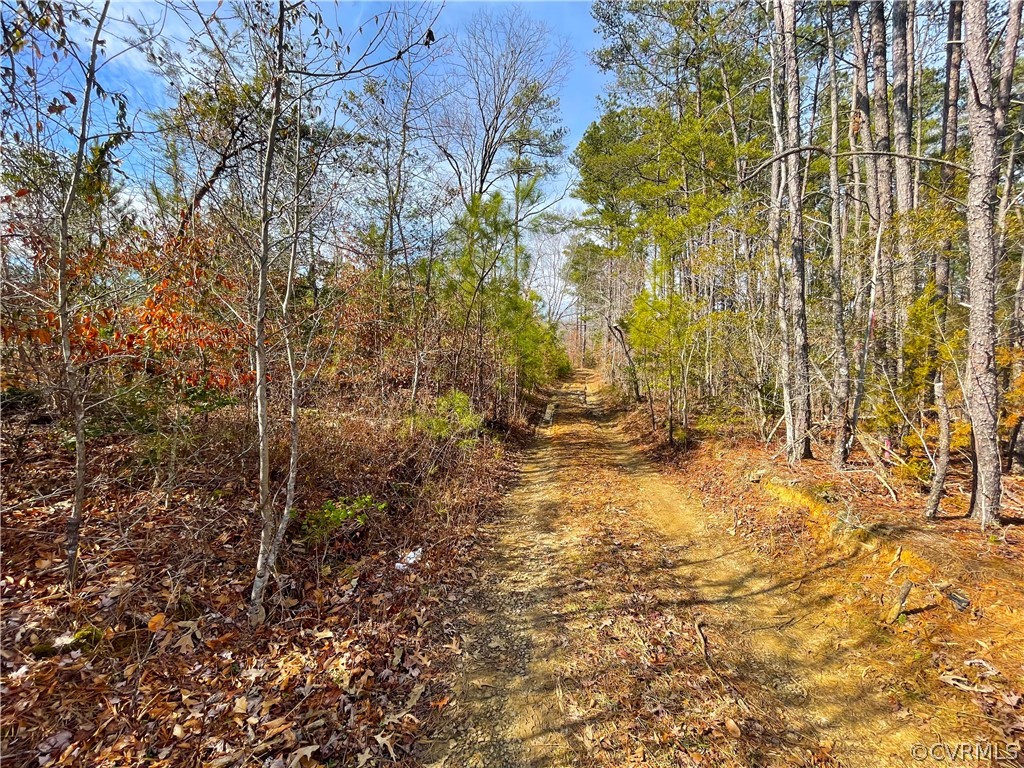 33.7 Acres (off Of) Rolfe Highway Spring Grove, VA 23881 - Photo 21 of 30 Gallery Image 21