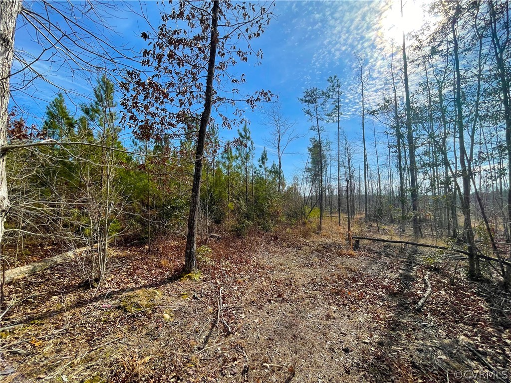 33.7 Acres (off Of) Rolfe Highway Spring Grove, VA 23881 - Photo 25 of 30 Gallery Image 25