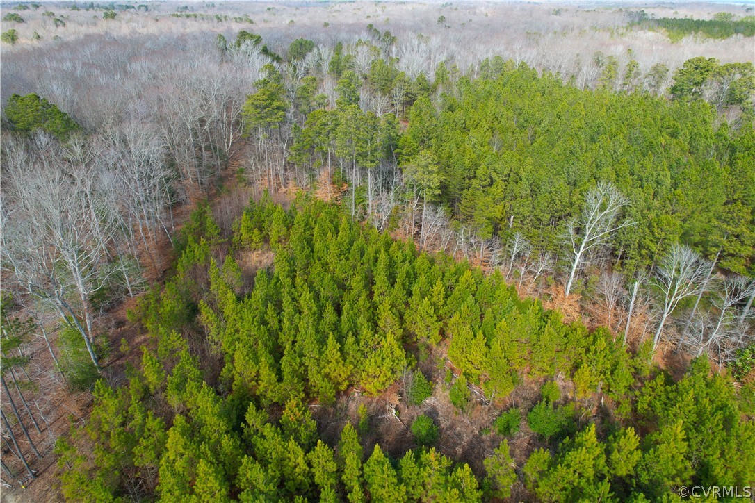 33.7 Acres (off Of) Rolfe Highway Spring Grove, VA 23881 - Photo 26 of 30 Gallery Image 26