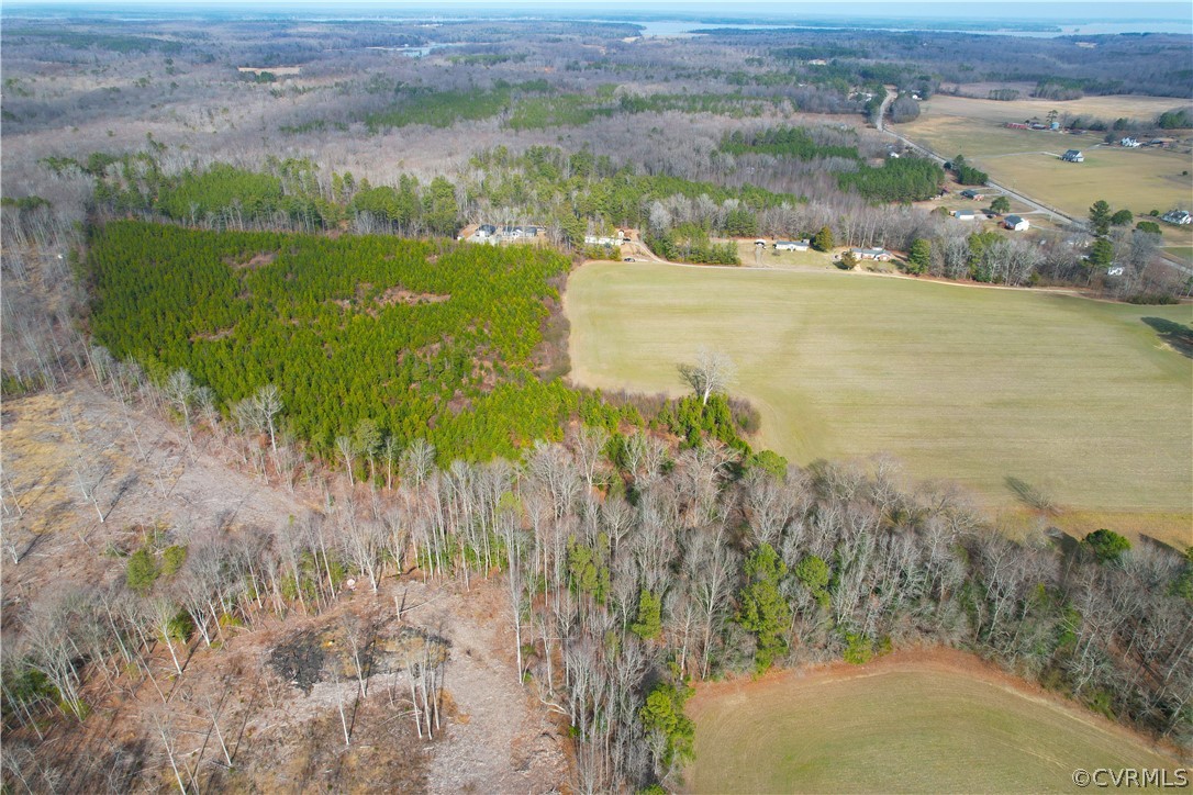 33.7 Acres (off Of) Rolfe Highway Spring Grove, VA 23881 - Photo 28 of 30 Gallery Image 28