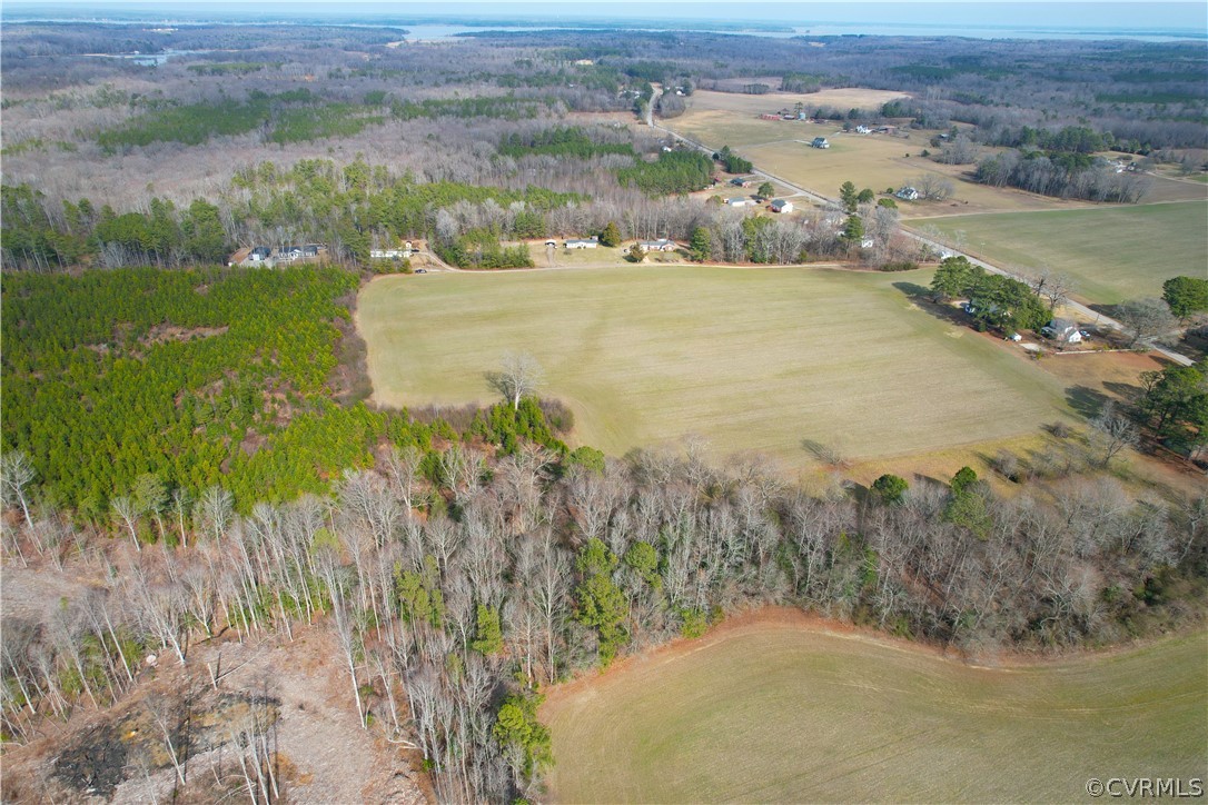 33.7 Acres (off Of) Rolfe Highway Spring Grove, VA 23881 - Photo 29 of 30 Gallery Image 29