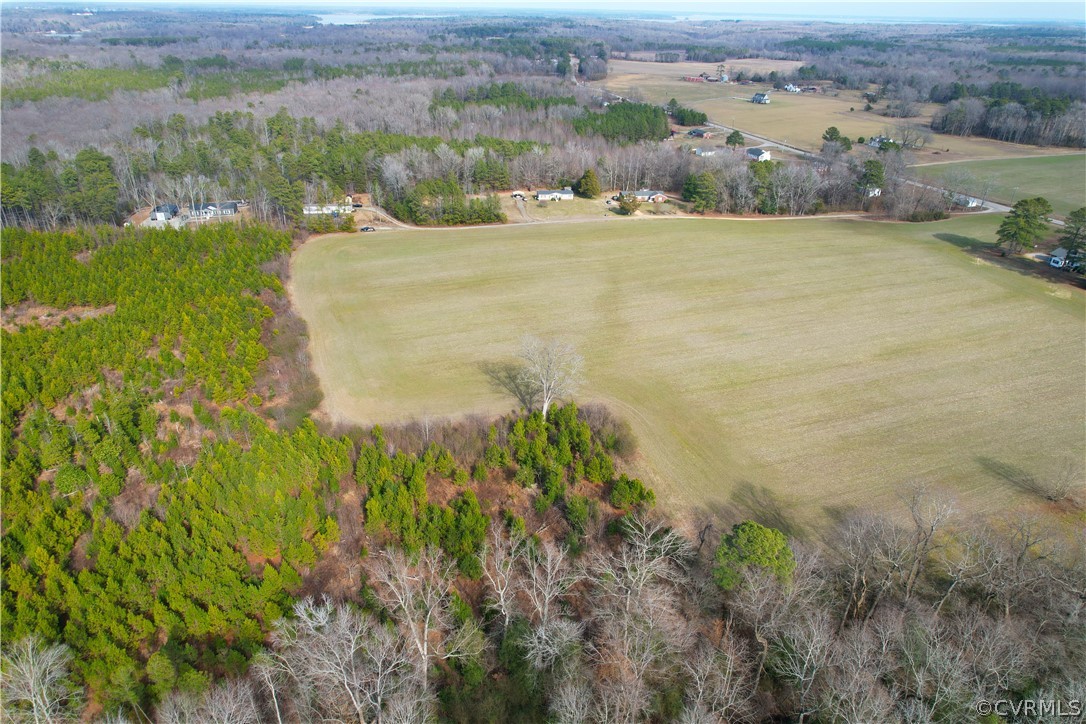 33.7 Acres (off Of) Rolfe Highway Spring Grove, VA 23881 - Photo 5 of 30 Gallery Image 5