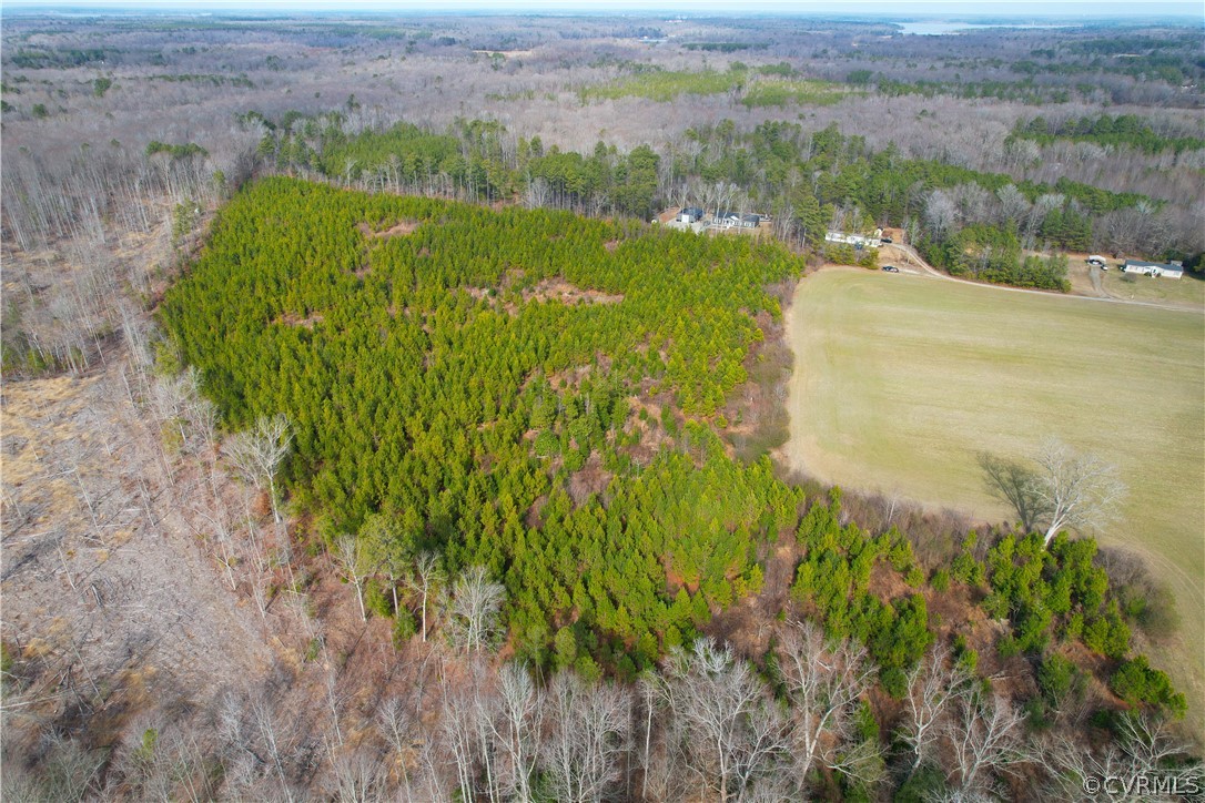 33.7 Acres (off Of) Rolfe Highway Spring Grove, VA 23881 - Photo 6 of 30 Gallery Image 6
